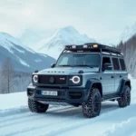Autos für Reisen in nördliche Länder: zuverlässige Begleiter in kalten Klimazonen 🌨️🚗