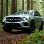 Ein Auto für die Fahrt durch den Wald wählen: Komfort, Sicherheit und Manövrierfähigkeit 🌲🚗