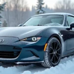 Accessori auto per l’inverno: cosa dovresti avere nel 2024? ❄️🚗