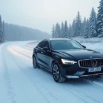 ❄️ Beste Winterreifen 2023–2024: Wichtige Empfehlungen für sicheres Fahren