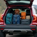 🚗 Die besten Auto-Gadgets für lange Reisen