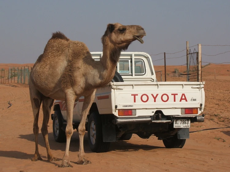 Wurzeln des Erfolgs: der Beginn von Toyotas Reise 🌱