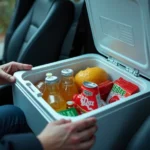 Autokühlschränke: Welchen soll man wählen? 🚗❄️