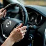 Autolenkradbezüge: Bewertung der Besten 🚗🔍